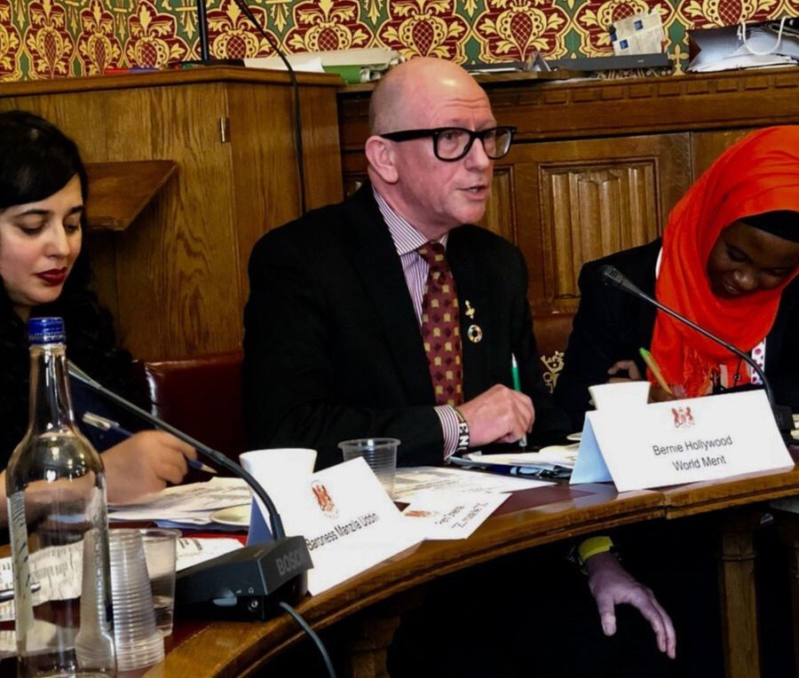 Bernie chairing a select committee meeting within The House of Lords